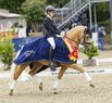 Dallas County WE wird Weser-Ems-Dressurchampion der Fünfjährigen Dallas County WE wird Weser-Ems-Dressurchampion der Fünfjährigen