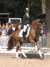 Finale des Bundeschampionats der sechsjhrigen Dressurponys