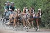 Silber auf den Baden-Wrttembergischen Meisterschaften