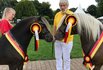 2. Europa-Hengstschau der IG Deutsches Classic-Pony am 27.08.17 in Verden 