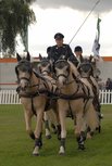 Silber bei der Deutschen Meisterschaft der Pony-Vierspnner-Fahrer