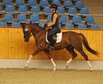 Stutenleistungsprfung (Reiten) 2025 in Vechta