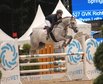 Bundeschampionat der sechsjhrigen Springponys