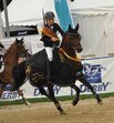 Al Shira'aa Bundeschampionate 2026