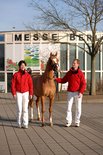 Hengstvorfhrung zum Jubilum 