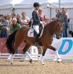 DKB-Bundeschampionat der dreijhrigen Reitponys