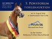 Fohlenauktion Ponyforum