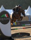 Hankifax H gewinnt die Goldemedaille bei den fnfjhrigen Springponys