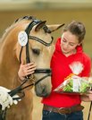 Deutsches Elitestutenchampionat in Lienen 2016