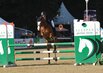 Al Shira'aa Bundeschampionate 2025 - Vielseitigkeitsponys-Springen