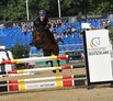 Al Shira'aa Bundeschampionate 2026 Al Shira'aa Bundeschampionate 2026