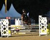 Al Shira'aa Bundeschampionate 2025 - fnfjhrige Springponys-Finale