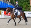 Al Shira'aa Bundeschampionate 2025 - fnfjhrige Dressurponys