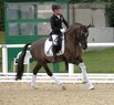 Bundeschampionat der fnfjhrigen Dressurponys