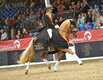 Al Shira'aa Bundeschampionate 2026