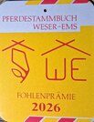Fohlenschauen in Berne und Westerstede