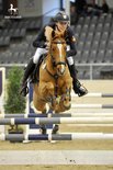 Pilatus Girl gewinnt die Future Pony Challenge in Verden