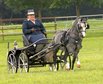 Weser-Ems-Hengstschau 2018