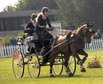 Carino S gewinnt Bronze auf der Deutschen Meisterschaft