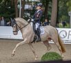 Al Shira'aa Bundeschampionate 2025 - fnfjhrige Dressurponys-kleines Finale