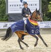 Weser-Ems-Champion der sechsjährigen Springponys 2026 Weser-Ems-Champion der sechsjährigen Springponys 2026