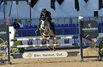 Al Shira'aa Bundeschampionate 2025 - sechsjhrige Springponys-Finale