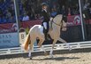 Al Shira'aa Bundeschampionate 2025 - fnfjhrige Dressurponys-Finale