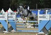 Al Shira'aa Bundeschampionate 2025 - sechsjhrige Springponys-Qualifikation