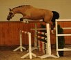 SLP-Reiten 2026 SLP-Reiten 2026