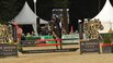 Al Shira'aa Bundeschampionate 2025 - fnfjhrige Springponys