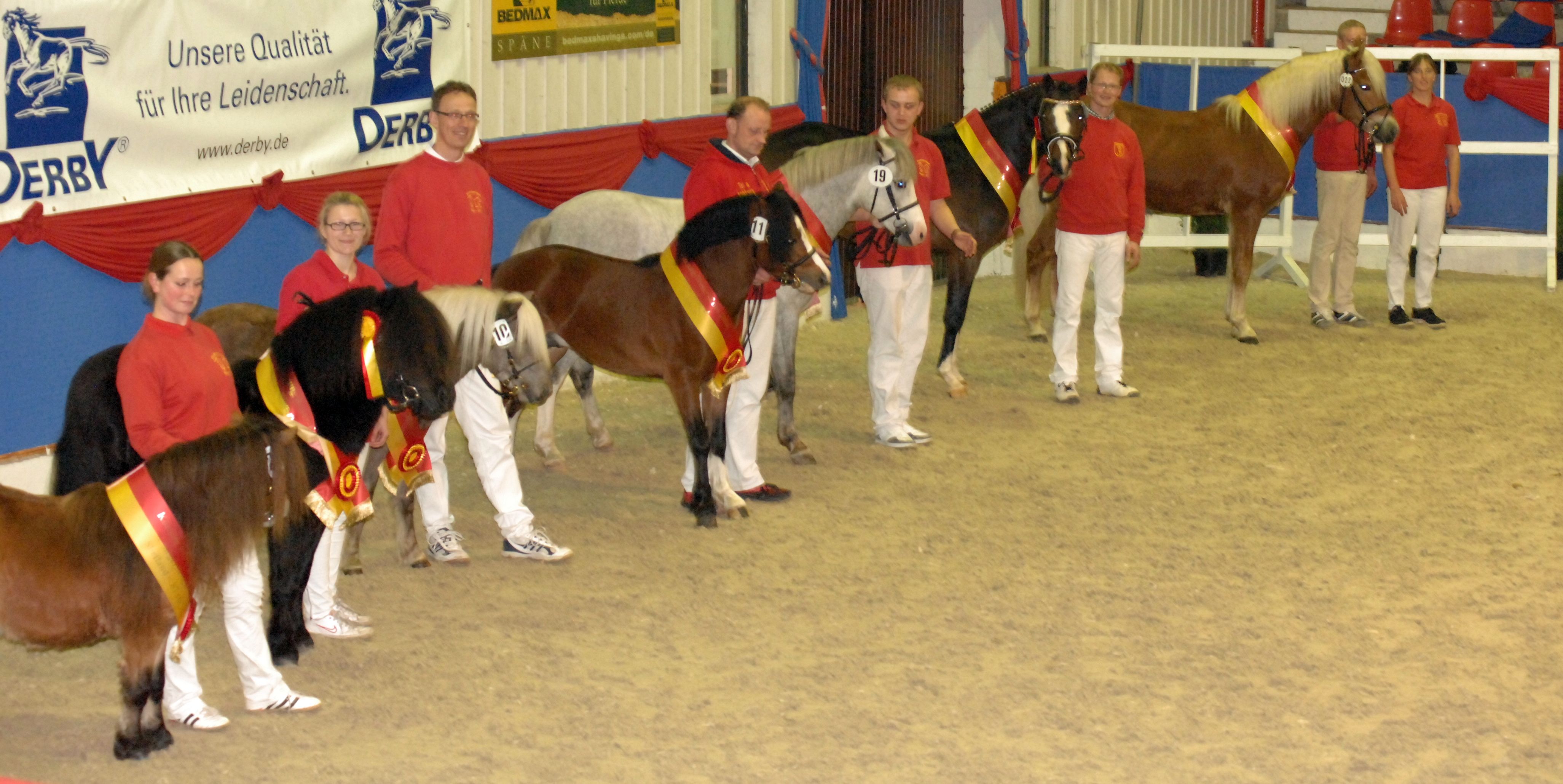 ponyhengste weser ems